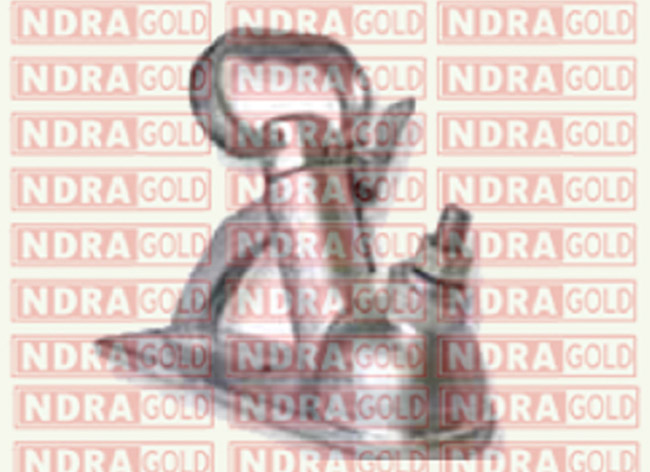 Coupling for Trailer